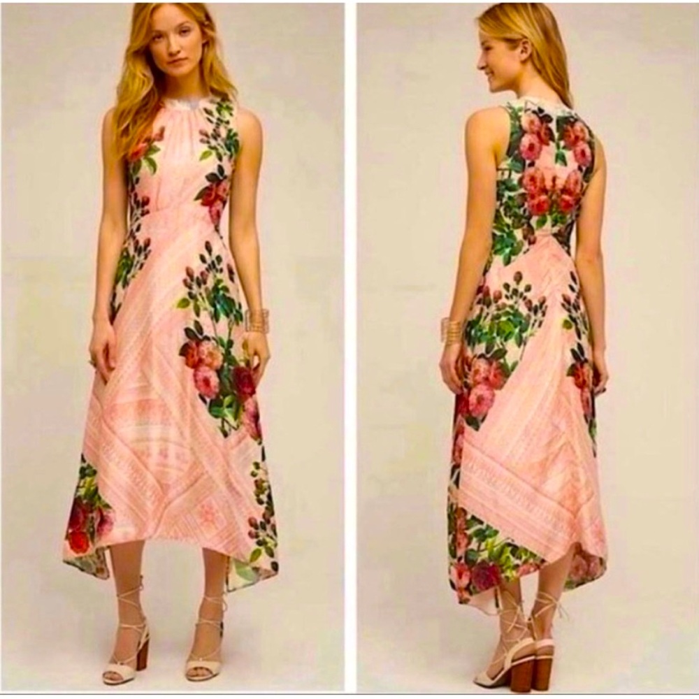 NWOT Anthropologie Pankaj & Nidhi Butterfly Garden Dress In Pink/Floral
